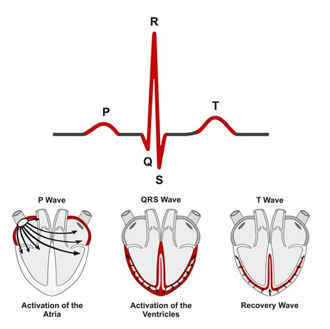 身心能量分析|ECG